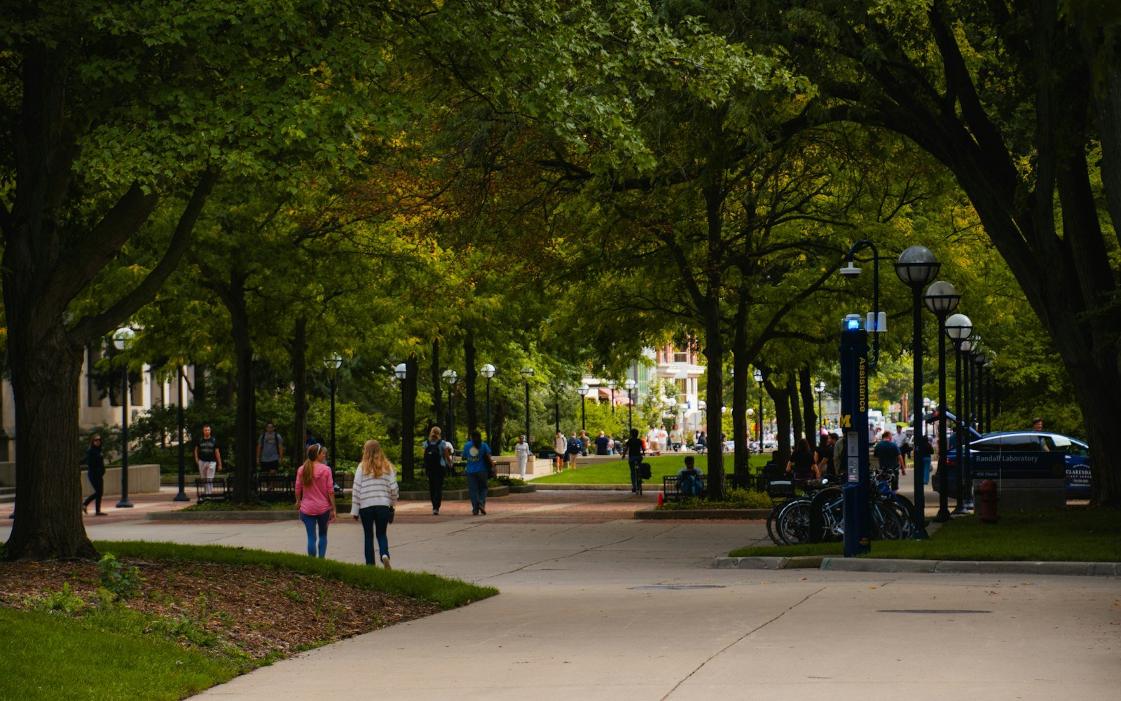 People walking along a tree-lined campus path
