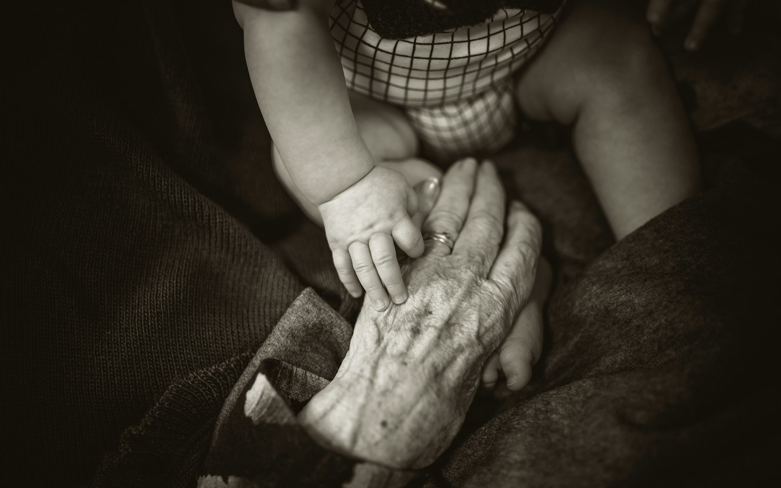 Older hand holding a young child's hand