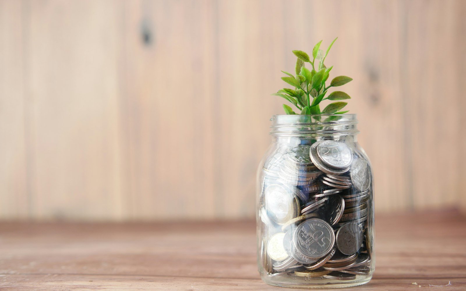 Glass jar of coins with a small plant growing from it